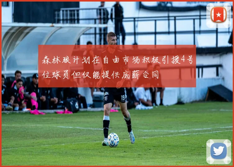 森林狼计划在自由市场积极引援4号位球员但仅能提供底薪合同